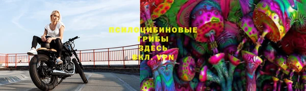 прущая мука Богданович