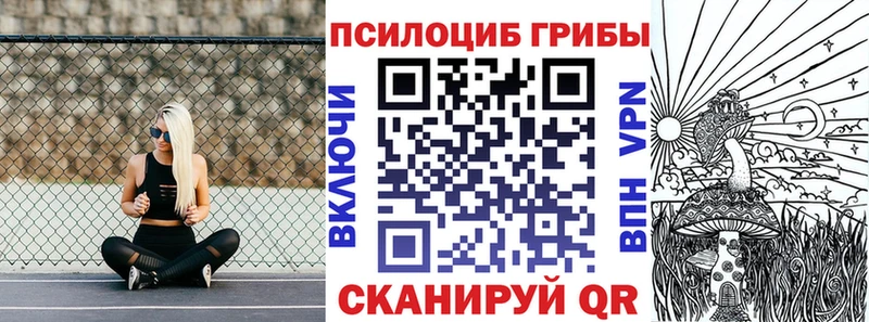 Галлюциногенные грибы Cubensis Шилка