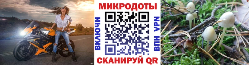 Псилоцибиновые грибы Magic Shrooms  darknet Telegram  Шилка  blacksprut маркетплейс 